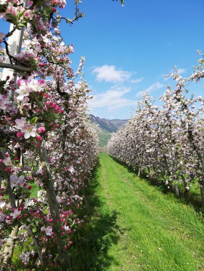 Gisshuebelhof Daire Andrian Dış mekan fotoğraf
